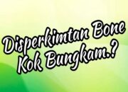 LAN Soroti Anggaran Infrastruktur Disperkimtan Bone