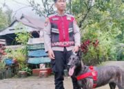 Pencarian Korban, Polda Sulsel Kerahkan Anjing Pelacak