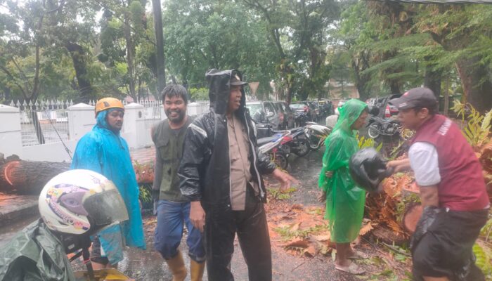 Polisi Bersama DLH dan BPBD Evakuasi Pohon Tumbang di Samping Rujab Gubernur